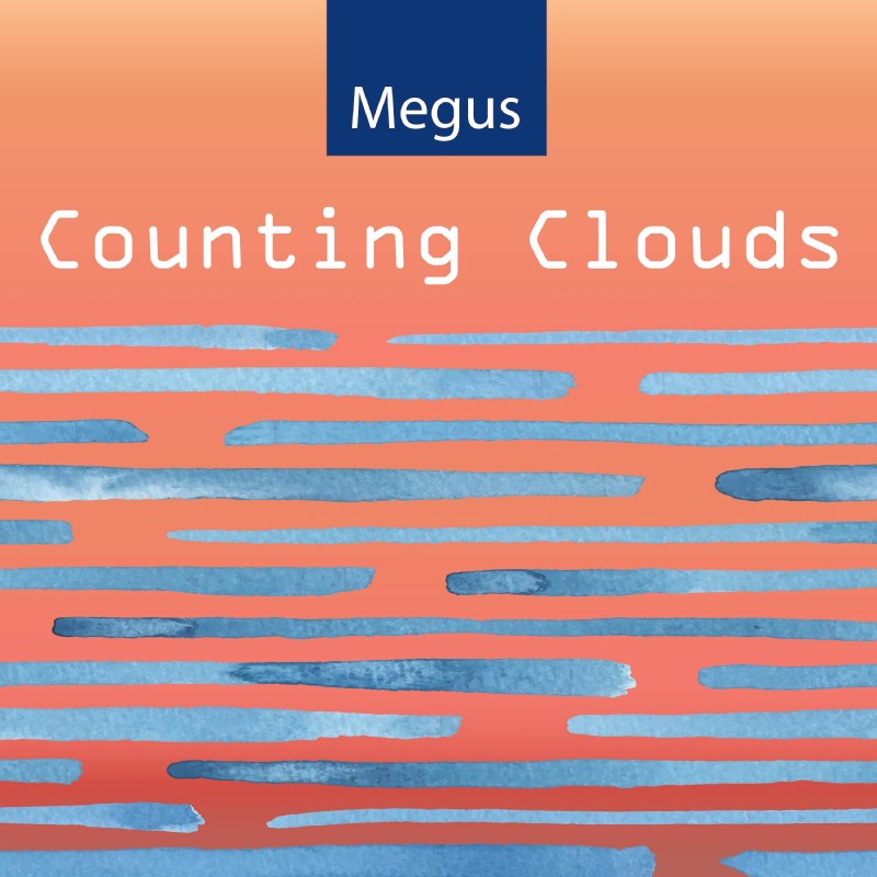 Counting Clouds